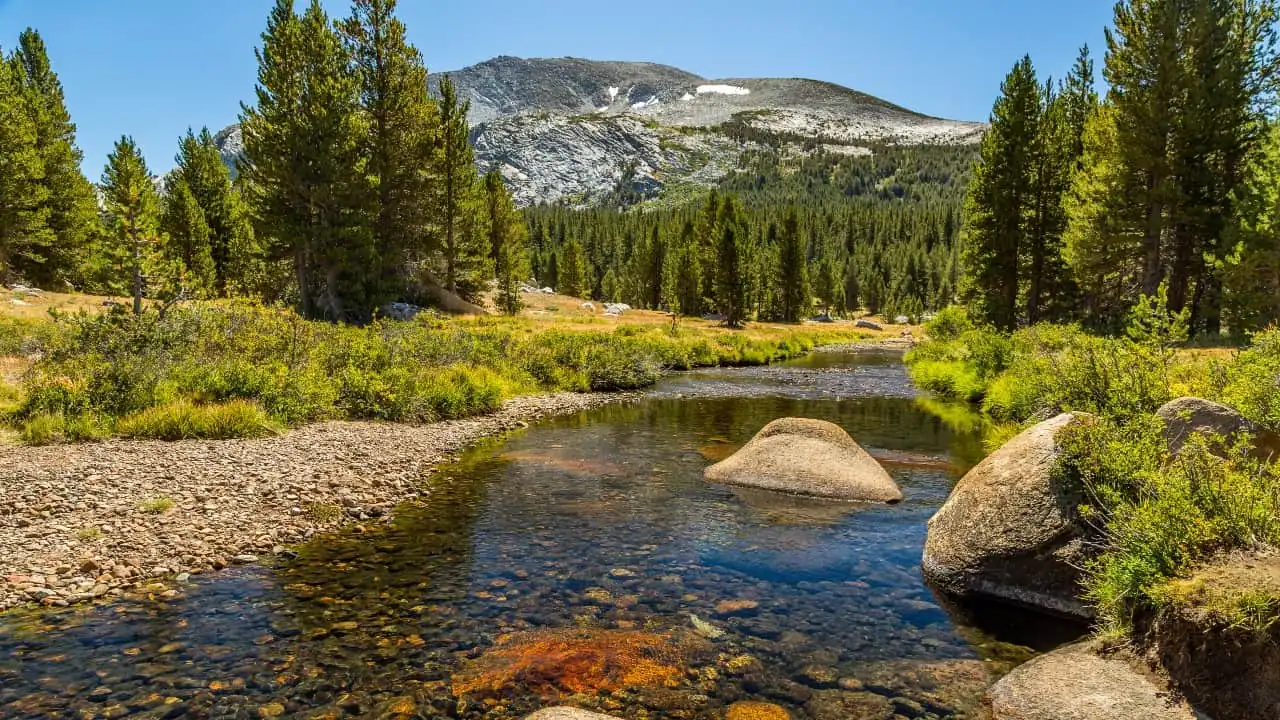 Mammoth Peak California