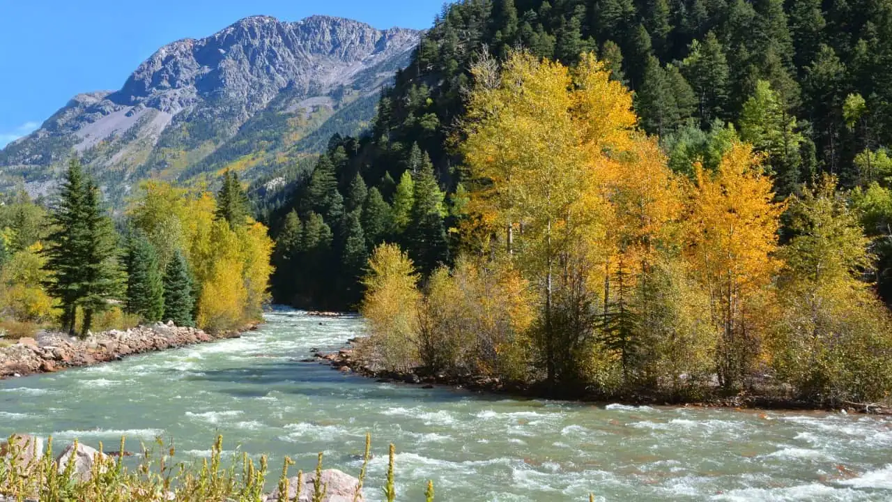 Animas River