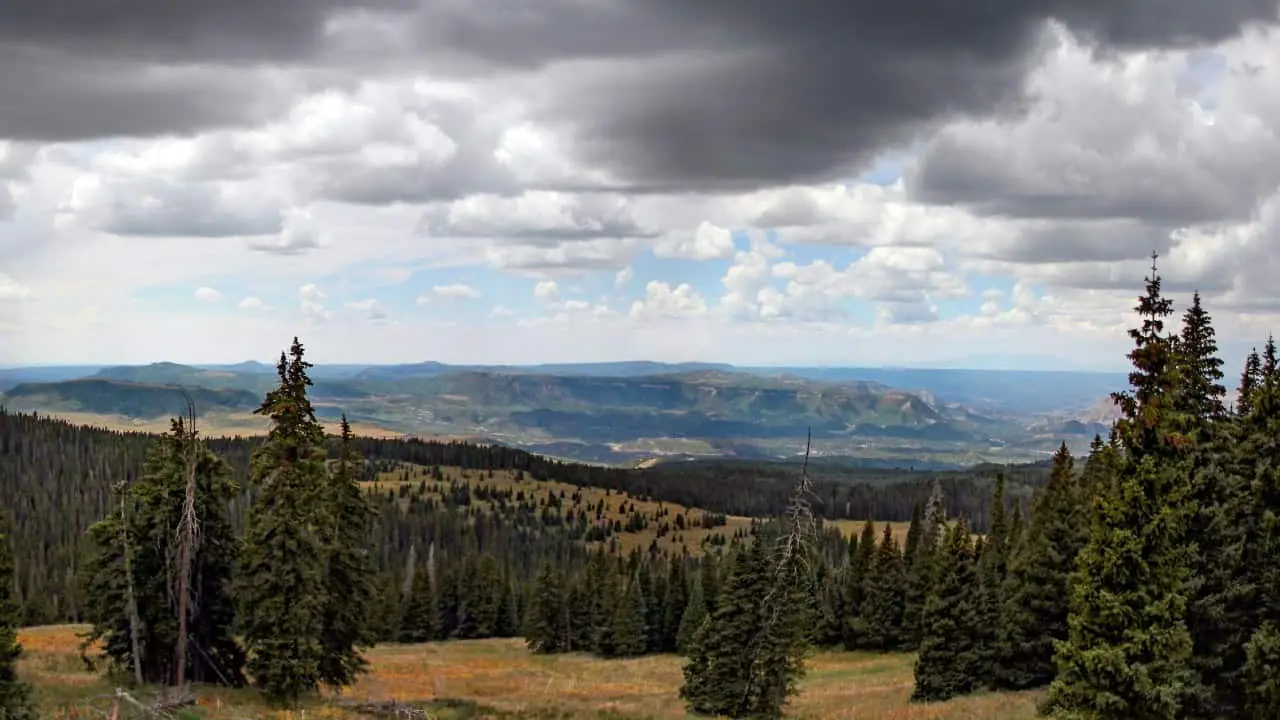 Nature surrounding Silverton