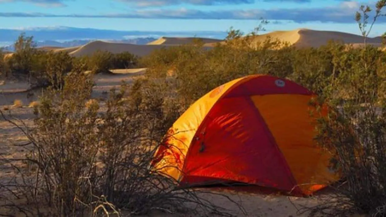 BLM at a dispersed camping area