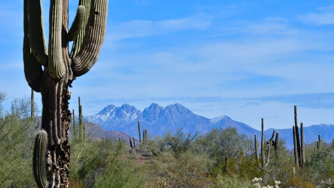 Bulldog Canyon near Hackamore Road near Phoenix