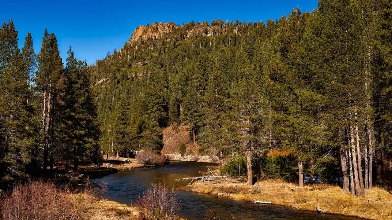 River and a campground in a National Forest in fall