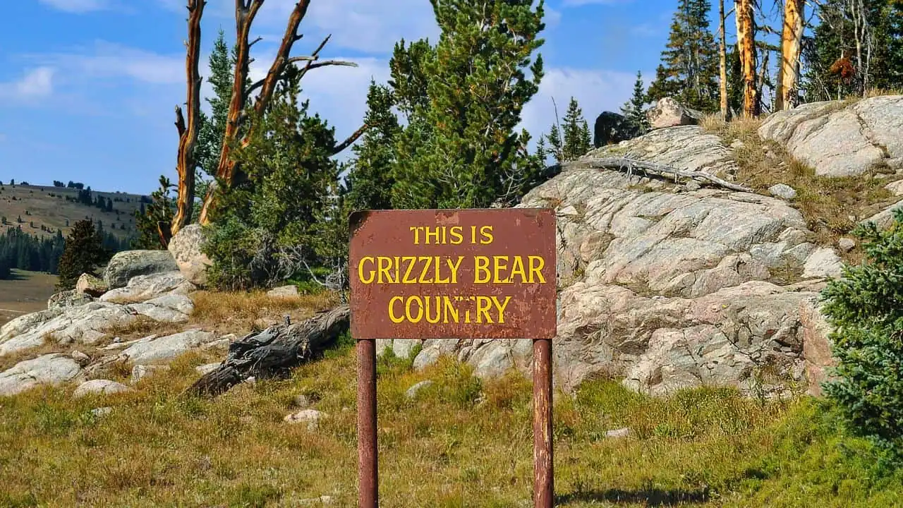 "This is Grizzly Bear Country" camping sign