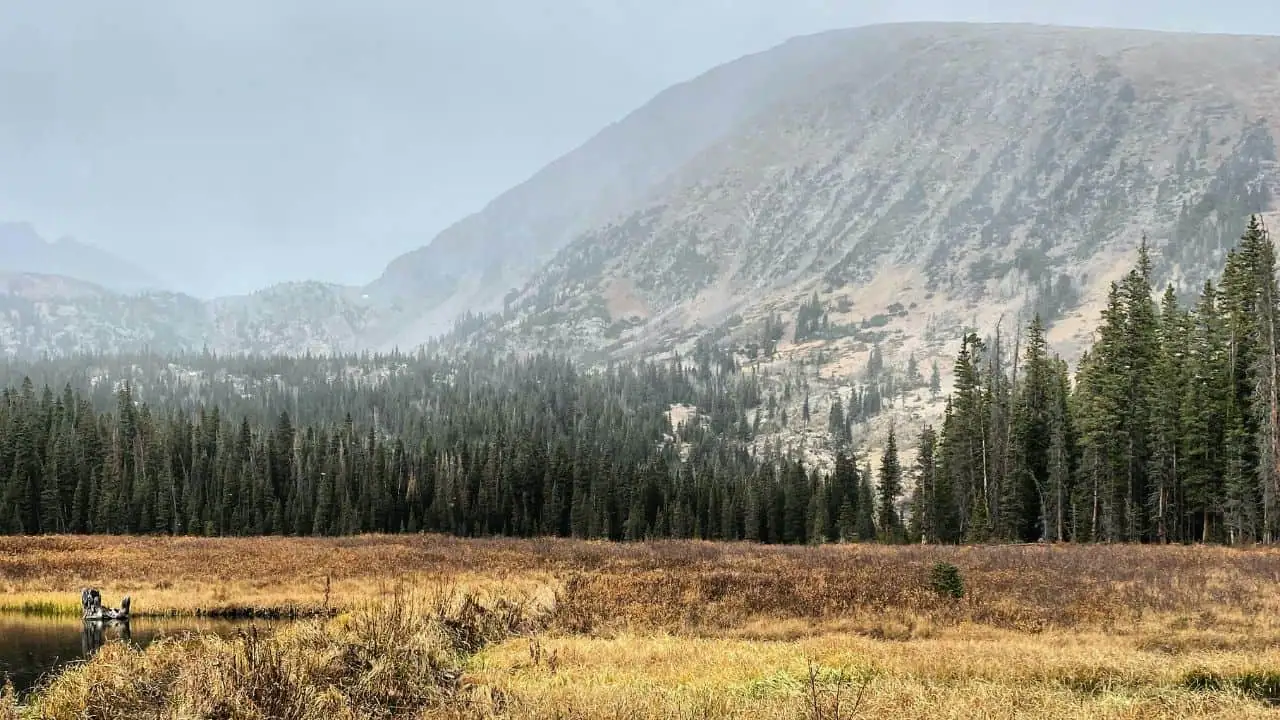 Dispersed camping in White River National Forest