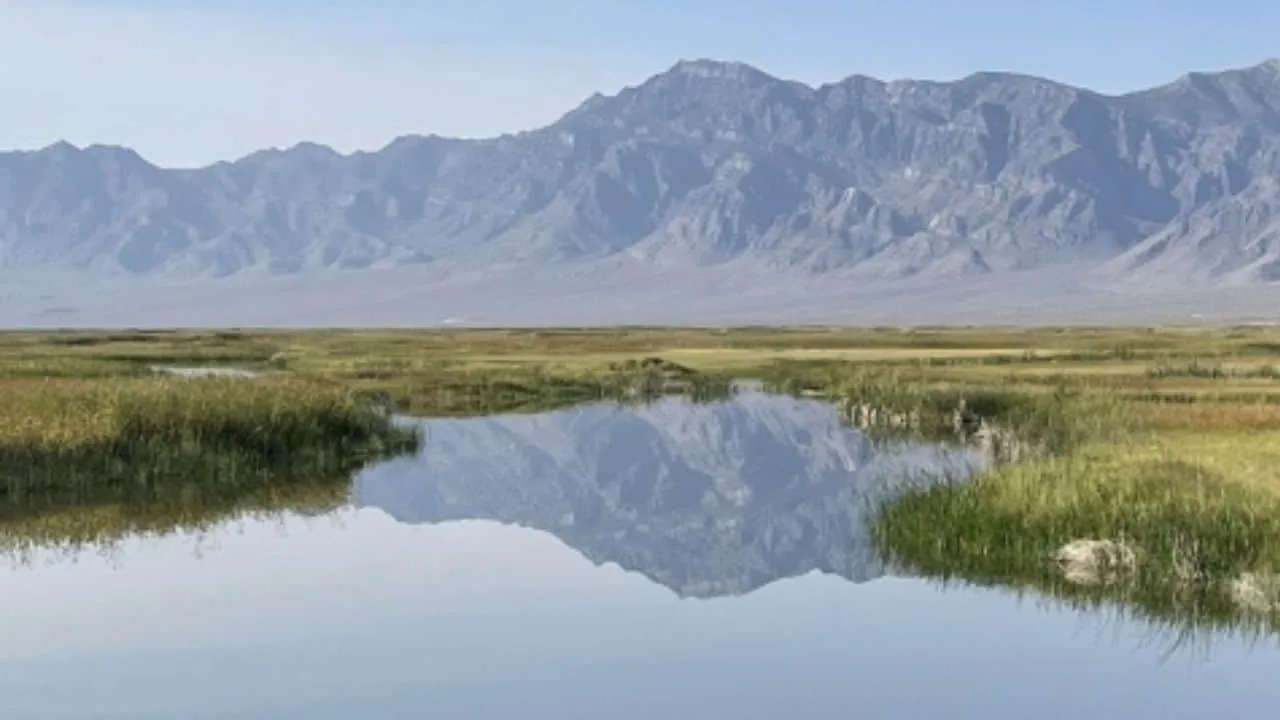 Fish Springs National Wildlife Refuge near Antelope Springs Cave