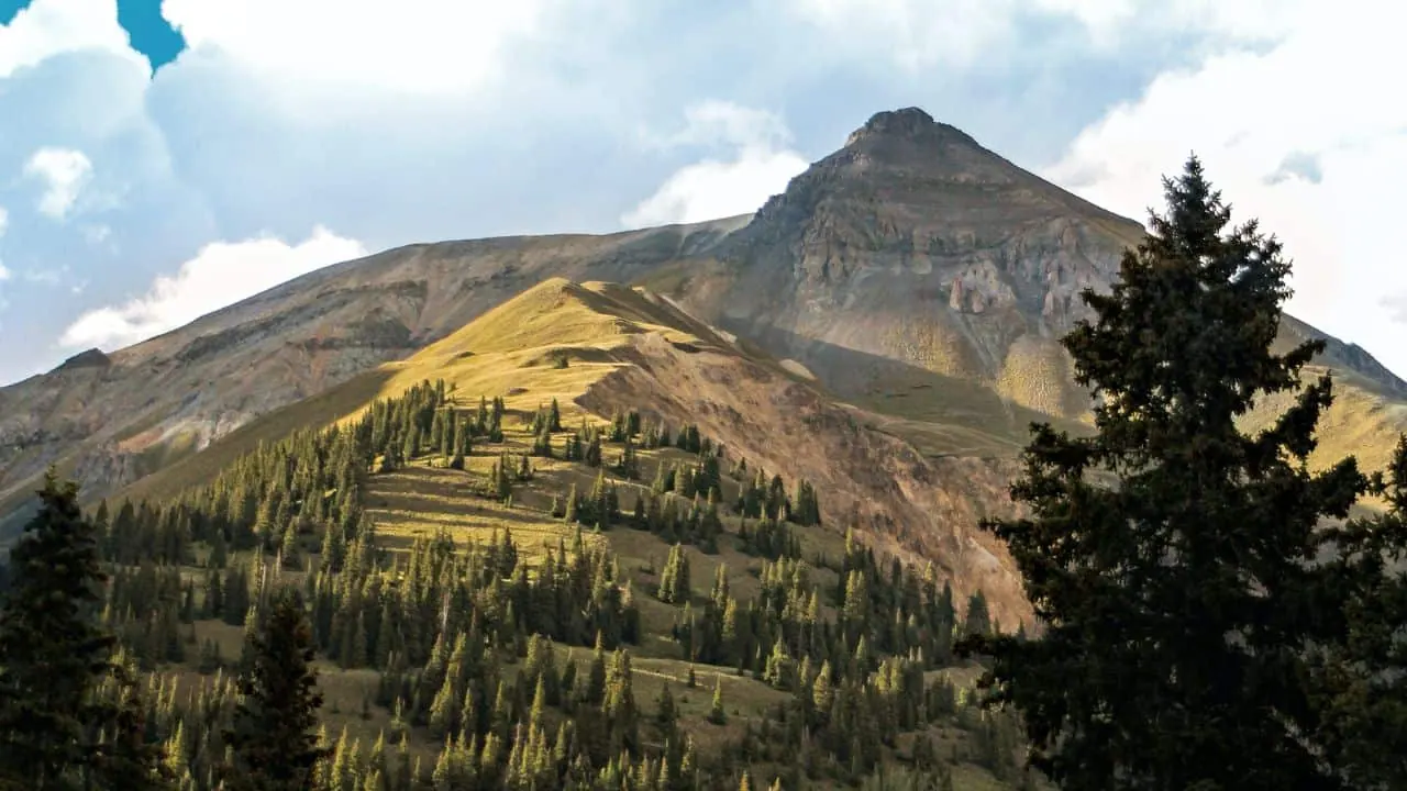 Forest area near Durango
