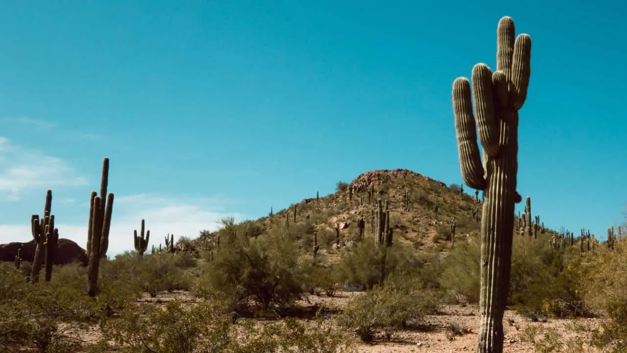 Free camping area near Phoenix