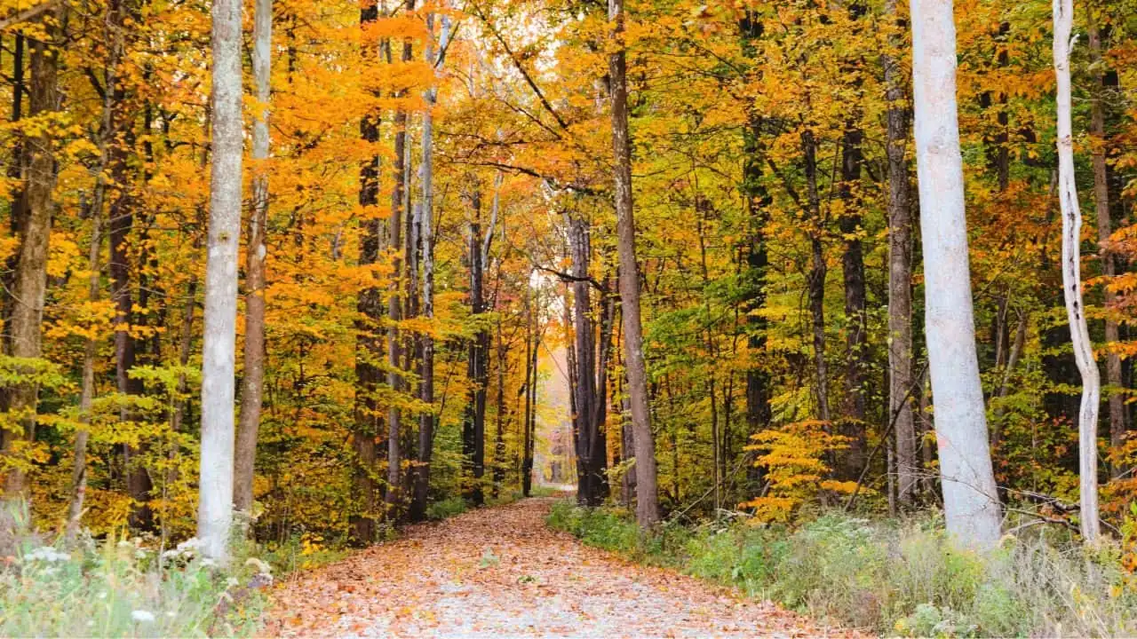 Free dispersed camping in Indiana