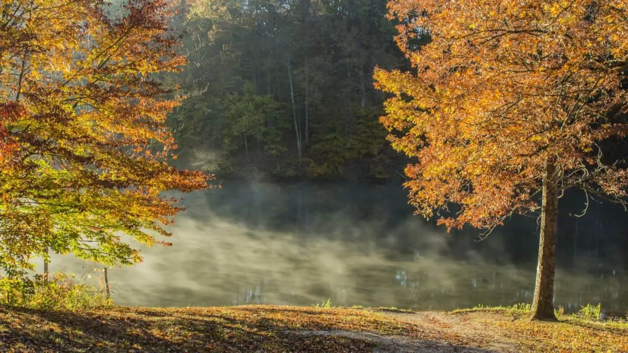 River in Morgan-Monroe State Forest near Mason Ridge Primitive Campground in fall