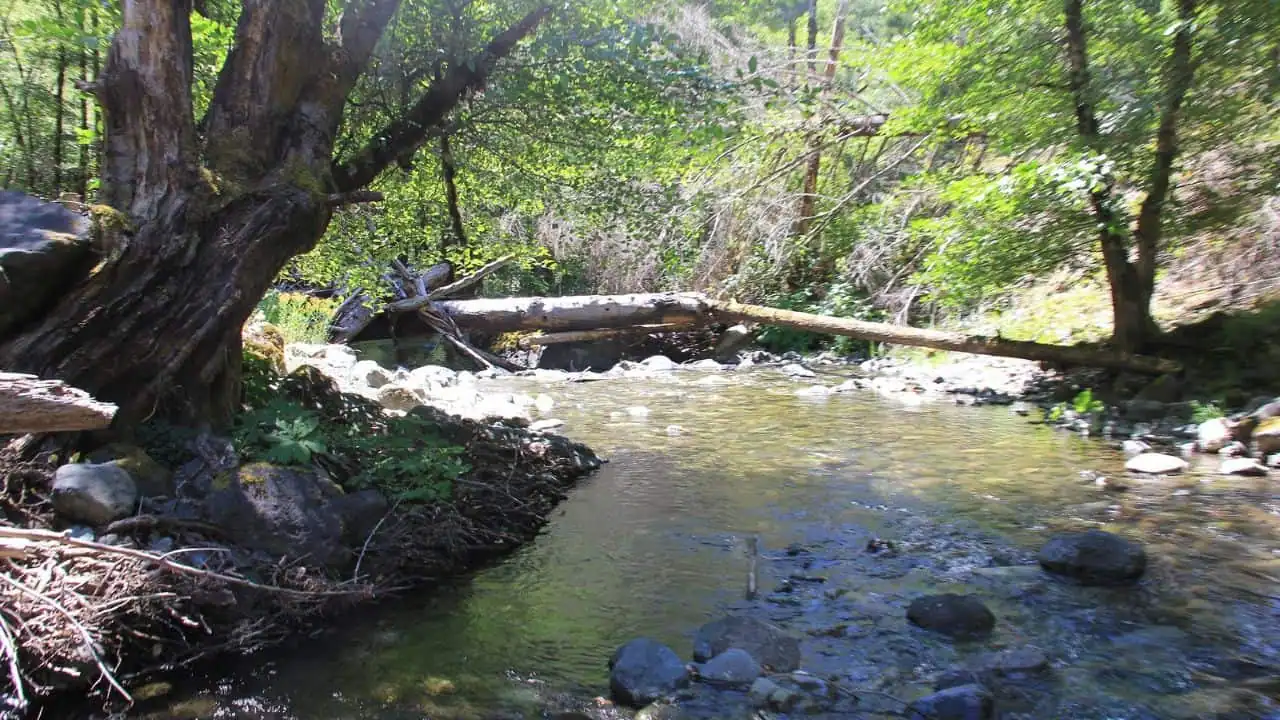 Mule Creek Trail BLM dispersed camping area