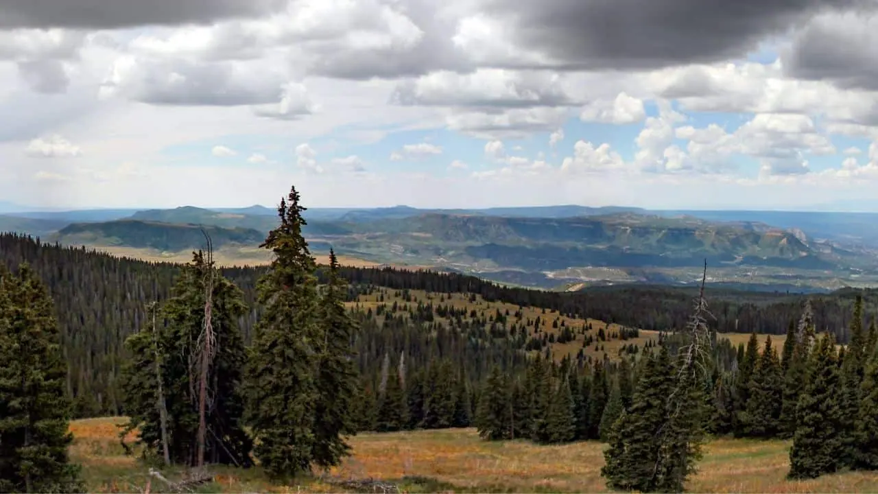 San Juan National Forest near Durango
