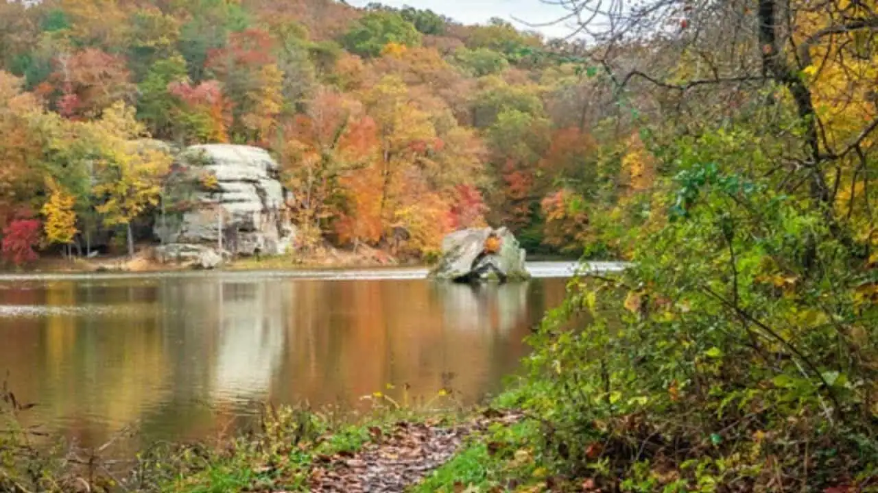 Fall in Wayne National Forest