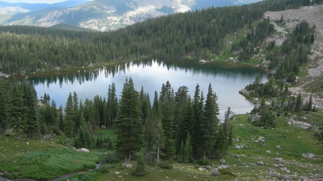 Aerial view of Allen Basin Reservoir Dispersed with the surrounding forest