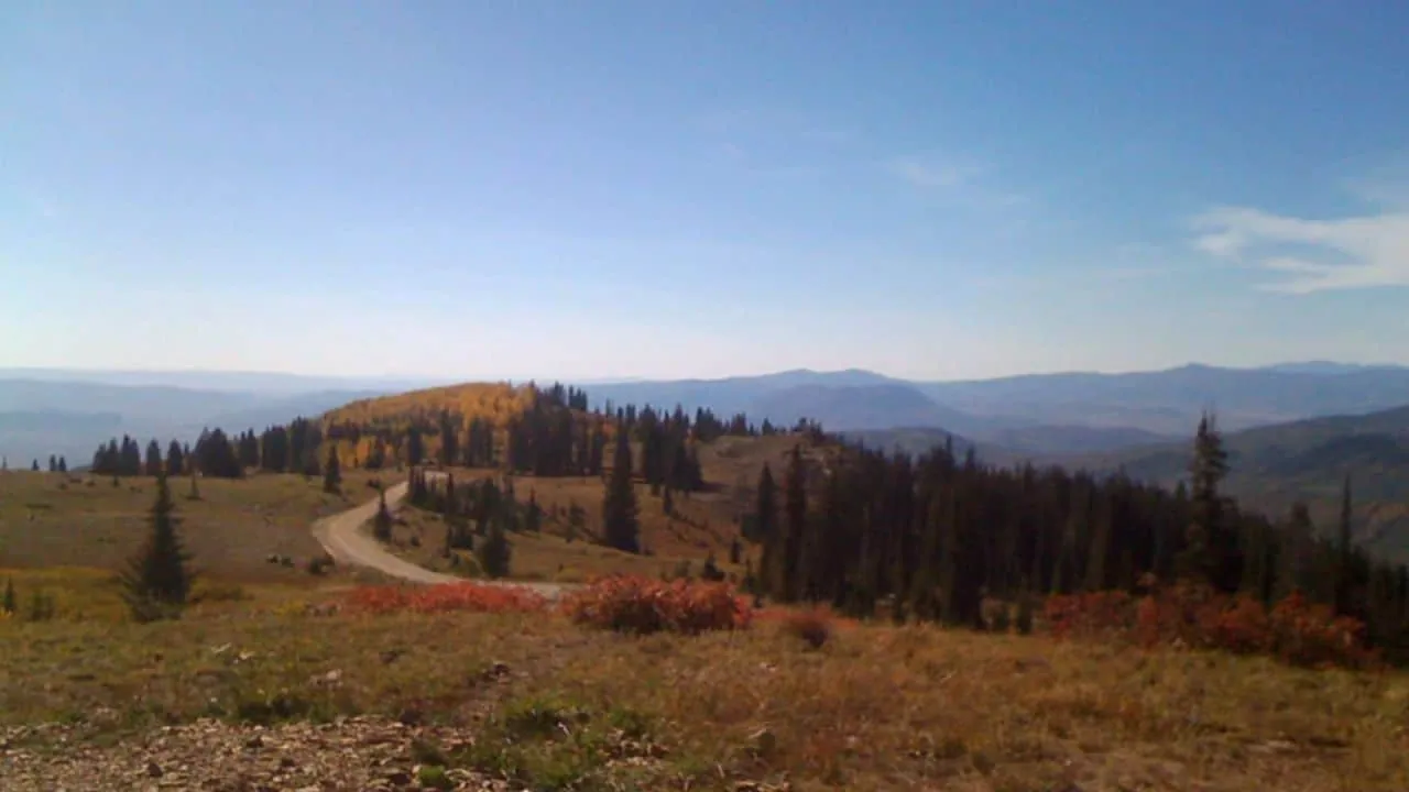 Road leading to Buffalo Pass dispersed camping area