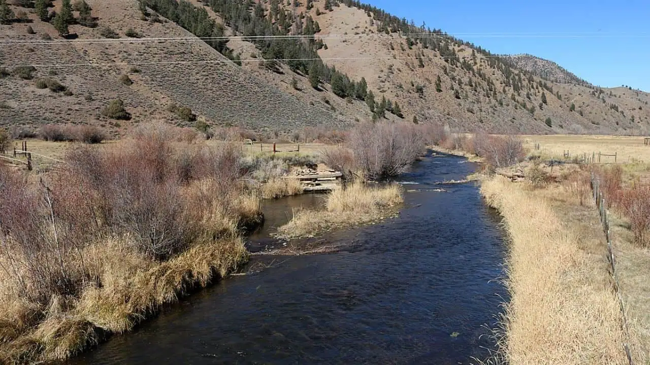 Cebolla Creek dispersed camping area in the summer