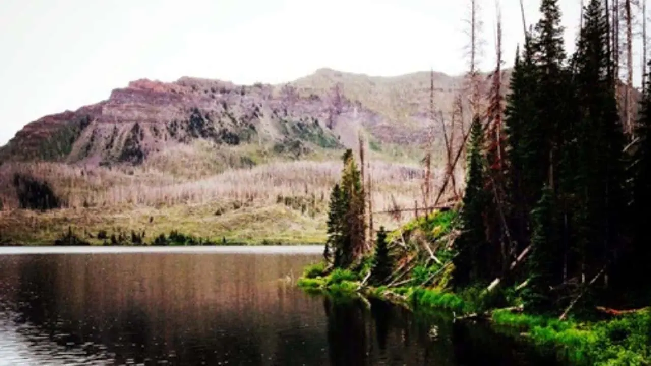 Flat Top Wilderness near Transfer Trail/ Forest Service Road 602