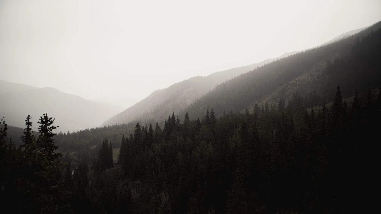 Fog near Lake City, Colorado