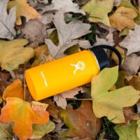 Hydro Flask bottle lies on leaves