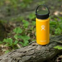 Hydro Flask in a forest environment