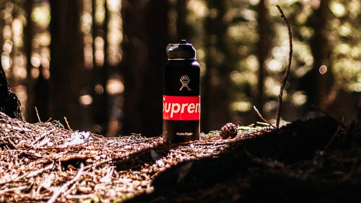 Hydro Flask stands in a forest
