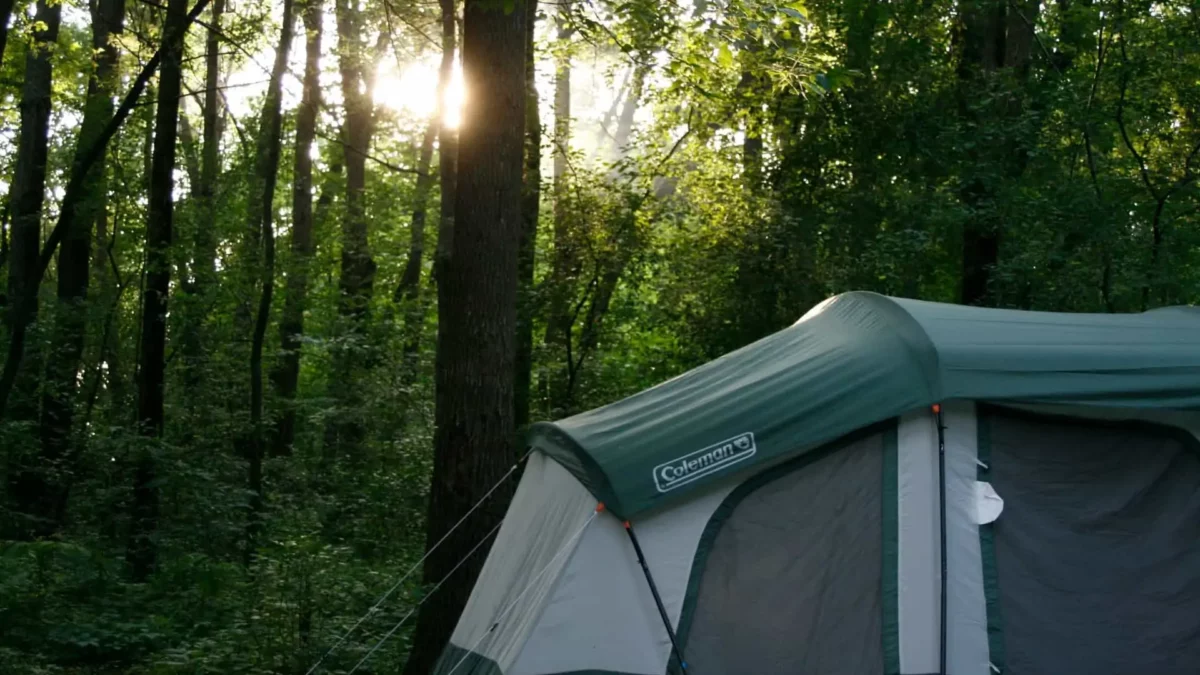 Coleman hampton tent best sale