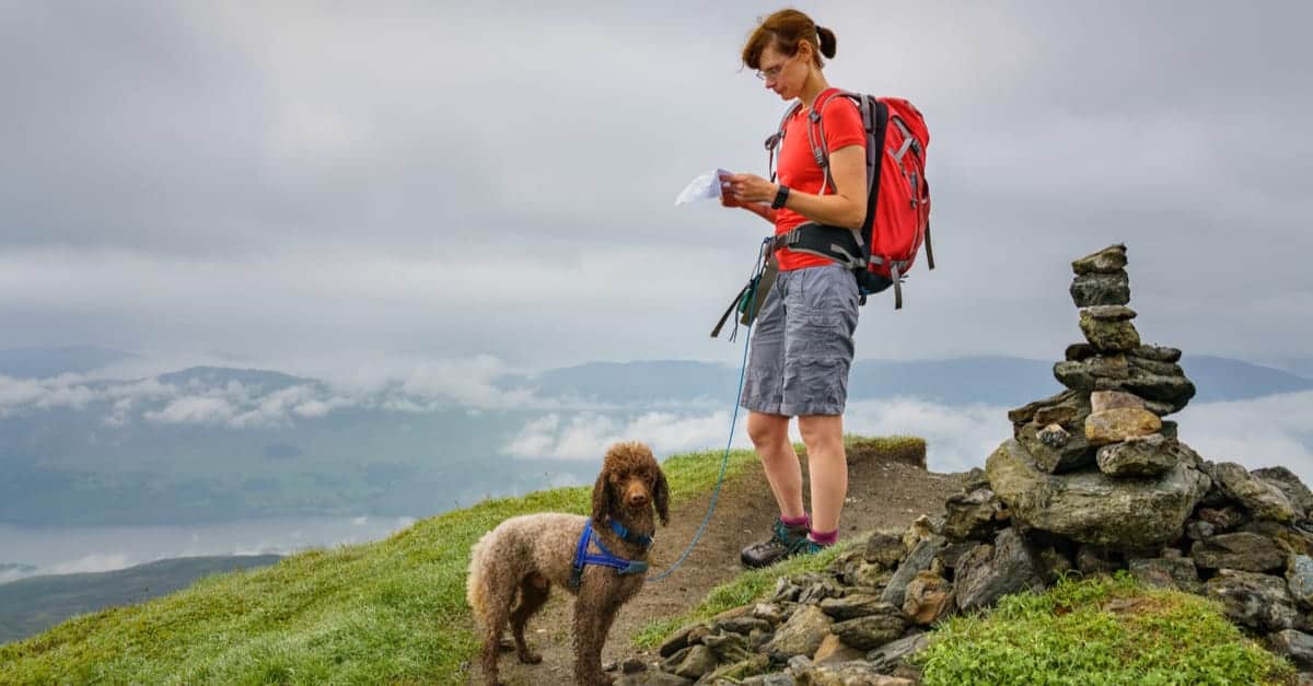 Hiker reading a map in Scotland