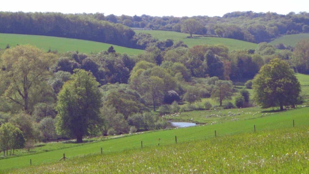 The Chess Valley Walk