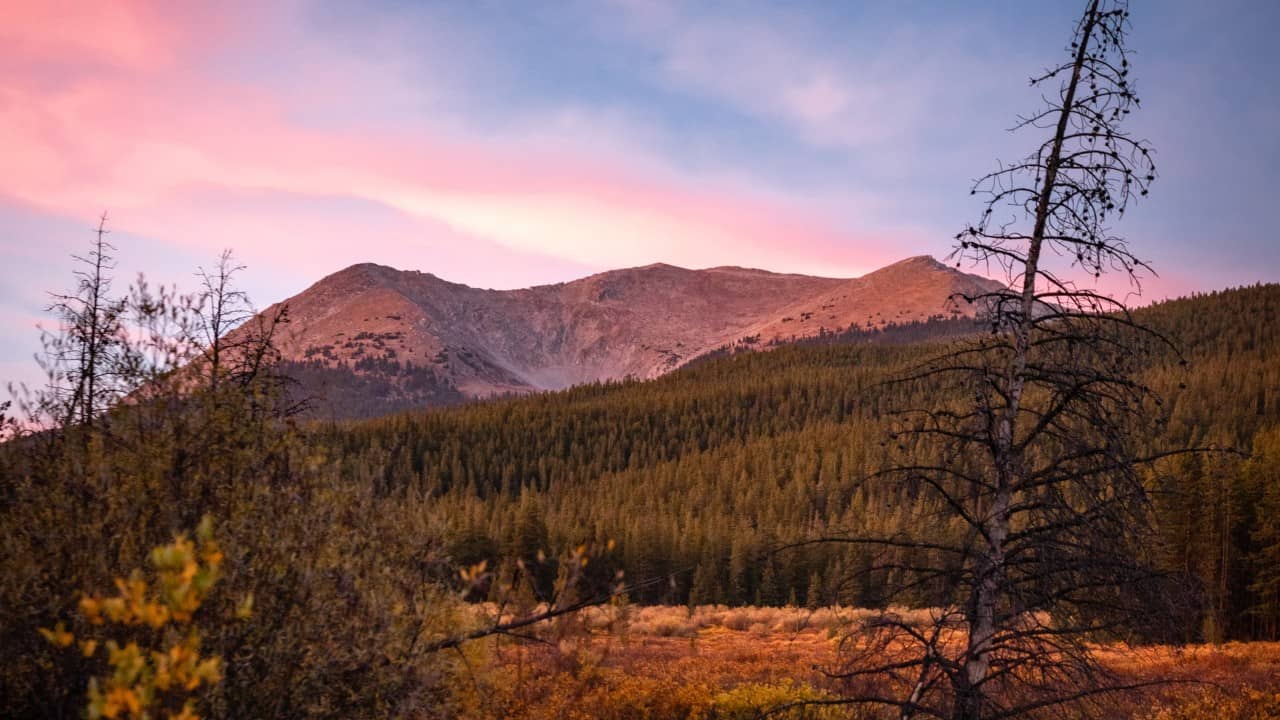 The Best Dispersed Camping Near Buena Vista, Colorado (2022)