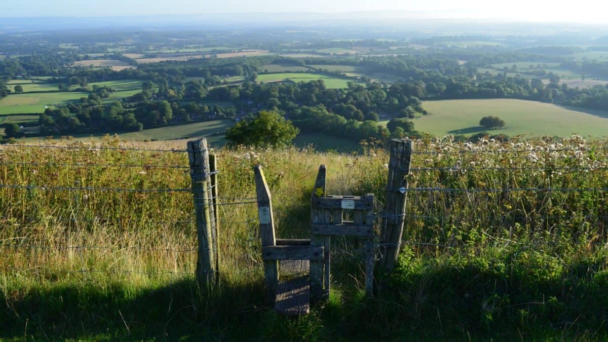 Gate on the South Downs Way
