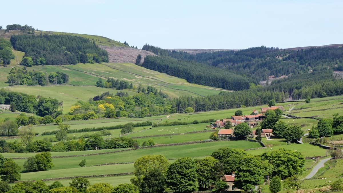 Yorkshire Moors landscape