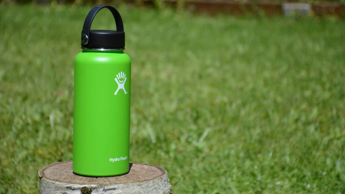 Green Hydro Flask bottle on a tree