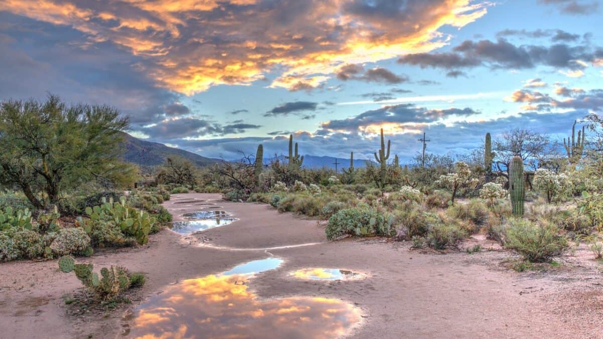 Nature in Arizona