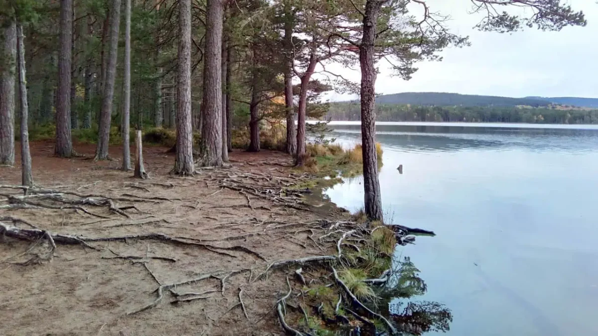 Loch Garten, Scotland