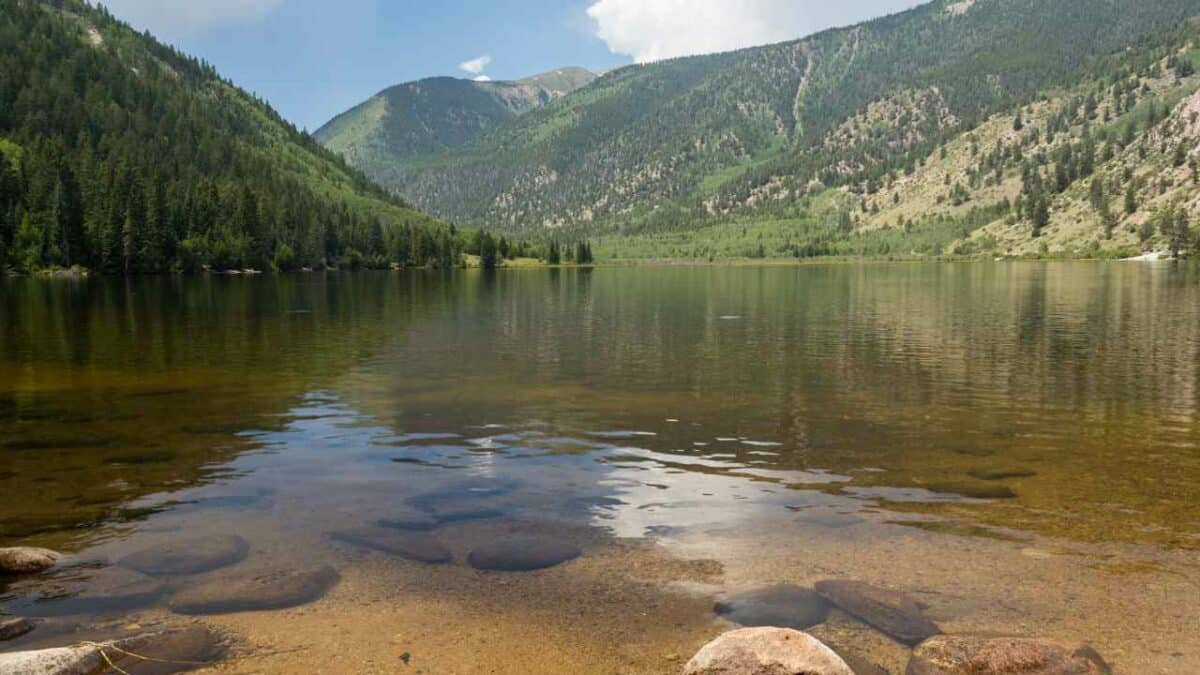 Buena Vista dispersed camping area in Colorado