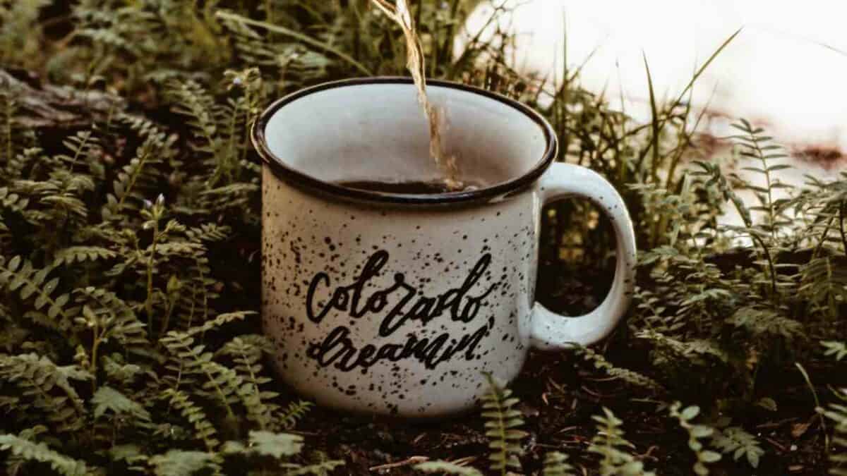 Camping coffee mug with Colorado print