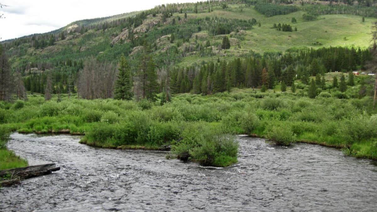 River near the Homestake Reservoir Road dispersed camping area in Colorado