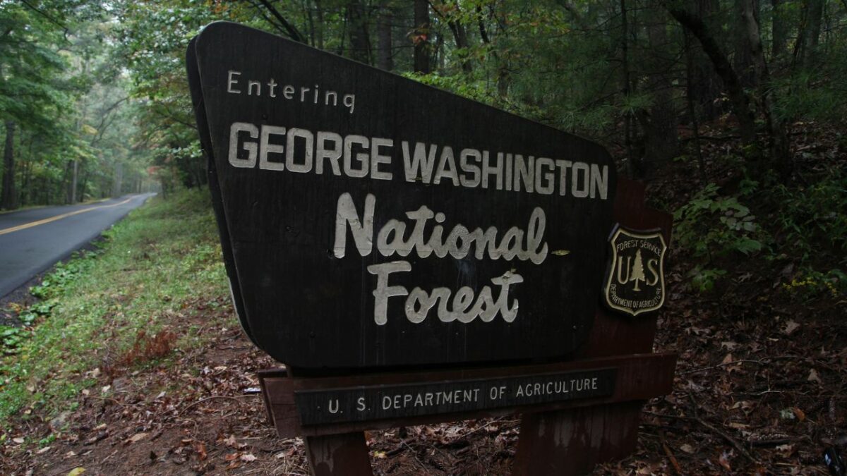 George Washington National Forest sign near Crisman Hollow campground 