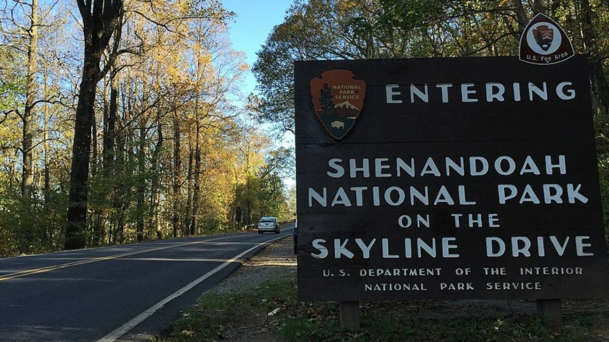 The only road in Shenandoah National Park - Skyline drive