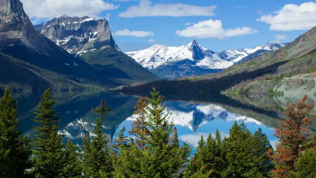Dispersed camping in a US National Forest