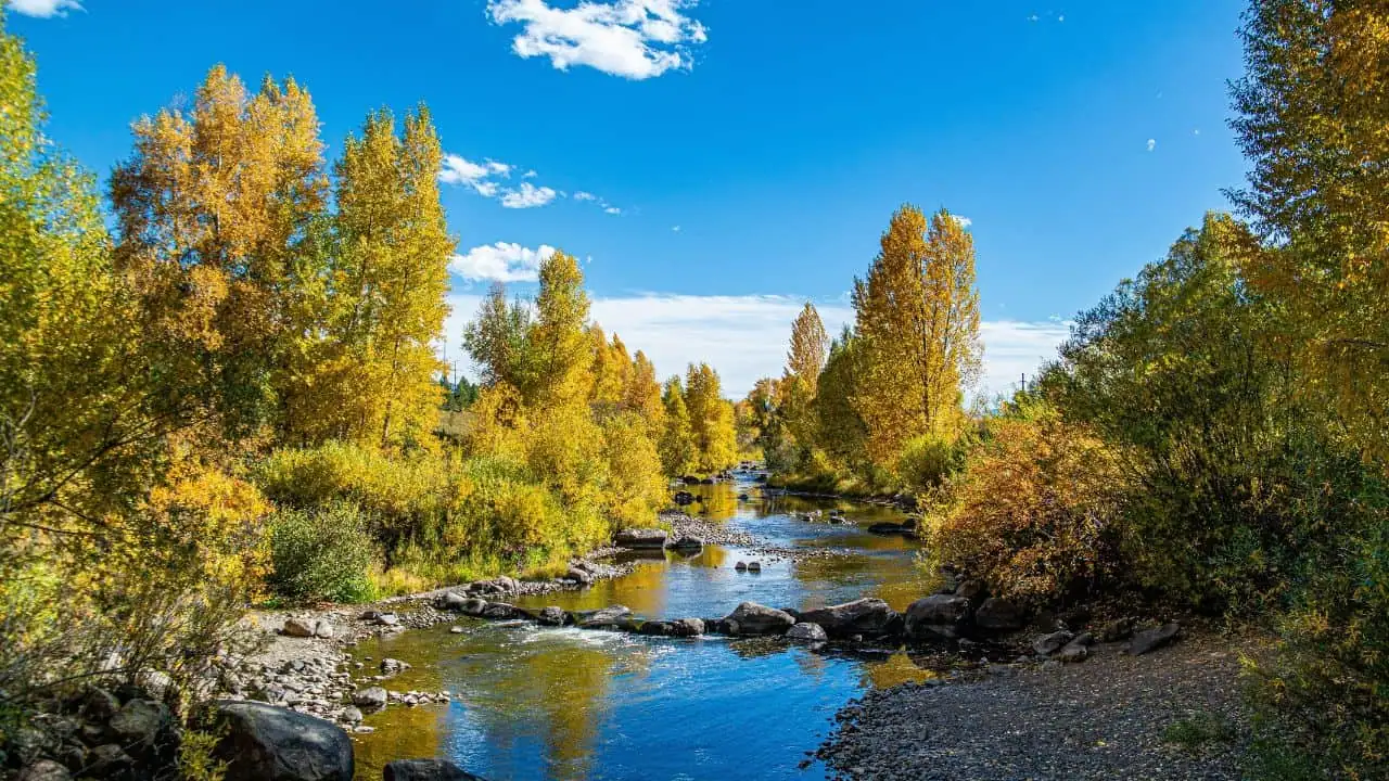 Dispersed Camping Near Steamboat Springs